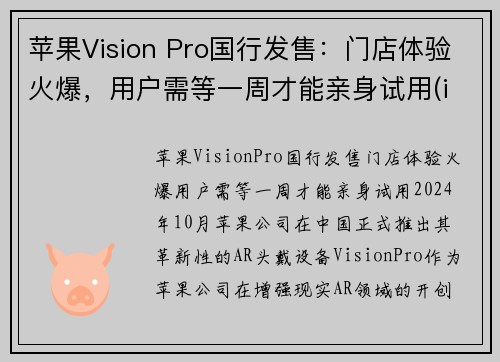 苹果Vision Pro国行发售：门店体验火爆，用户需等一周才能亲身试用(ios vision)