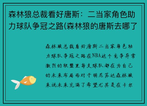 森林狼总裁看好唐斯：二当家角色助力球队争冠之路(森林狼的唐斯去哪了)