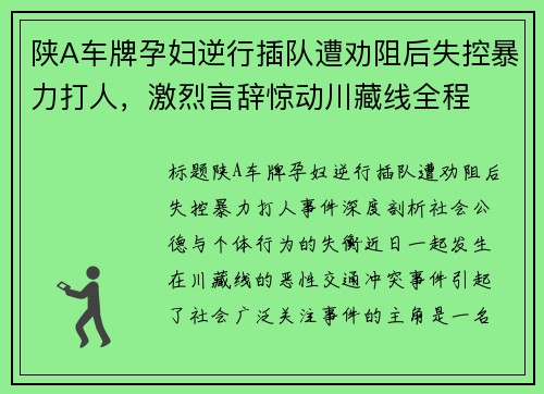 陕A车牌孕妇逆行插队遭劝阻后失控暴力打人，激烈言辞惊动川藏线全程