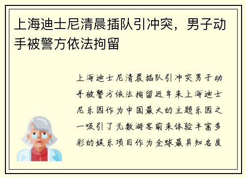 上海迪士尼清晨插队引冲突，男子动手被警方依法拘留